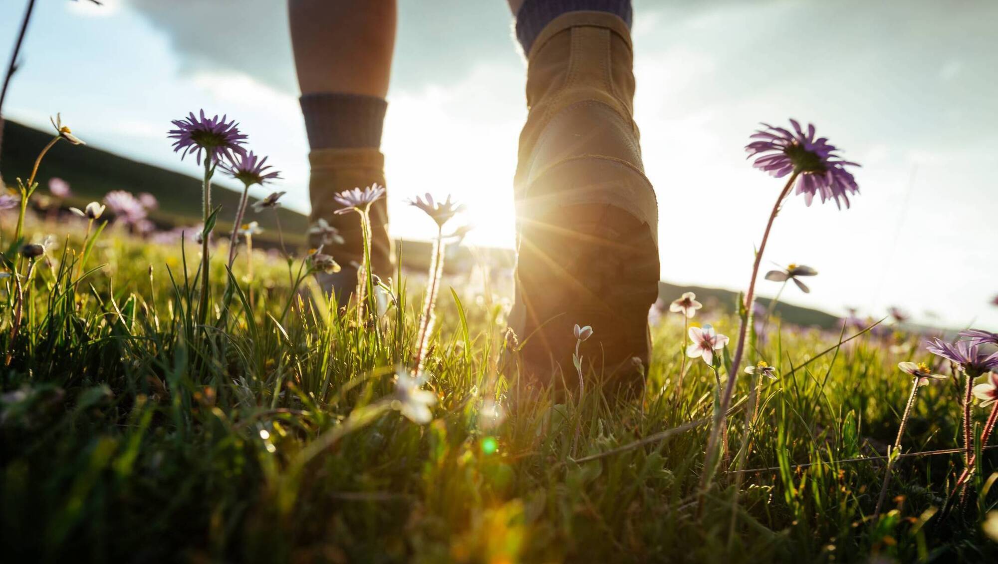 Head to the hills: Taking steps to maintain our outdoor areas