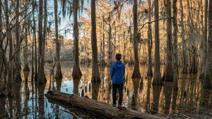 <p>Texas offers incredible landscapes to explore</p>