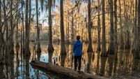 Caddo Lake Bayou Landscape Boy Texas USA