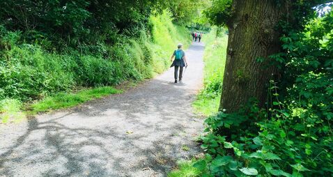 Our pilgrim paths offer a massive tourism opportunity for rural Ireland