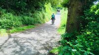 7-year plan to deliver growth in towns and villages across Cork