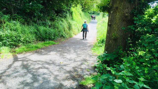 <p>Almost 1,000 people took the route along St Declan's Way earlier this year.</p>