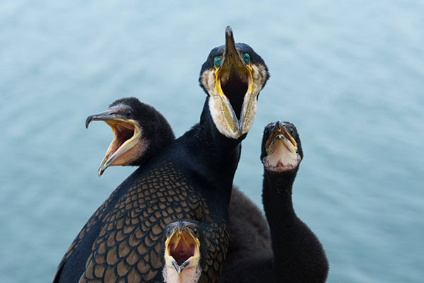 photos of the week