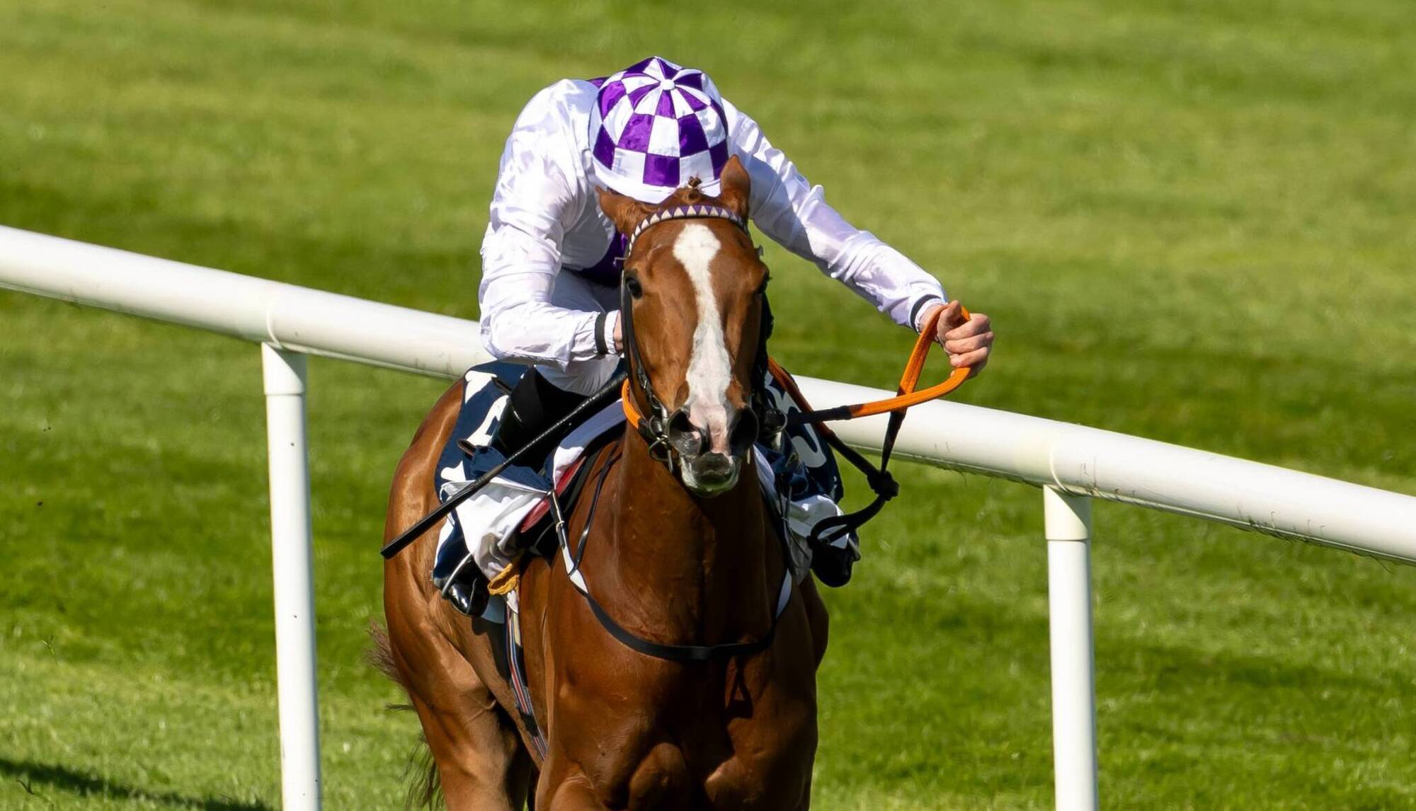 Sparan Nua goes in the Group 3 Darley Munster Oaks Stakes at Cork. Pic: ©INPHO/Morgan Tracey