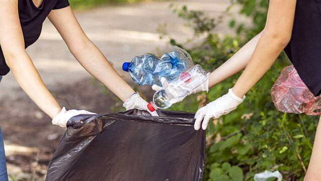 <p>North Cork litter clean-up sparks calls for community service penalties. Picture: iStock</p>