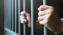 Man in prison hands of behind hold Steel cage jail bars. offender criminal locked in jail.