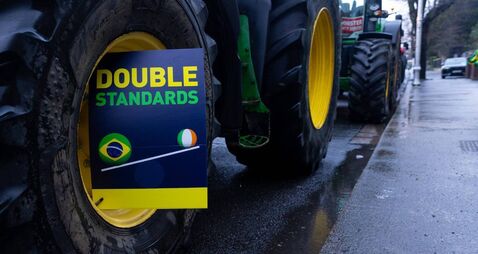 Independent Bord Bia review did not find 'any significant concerns'