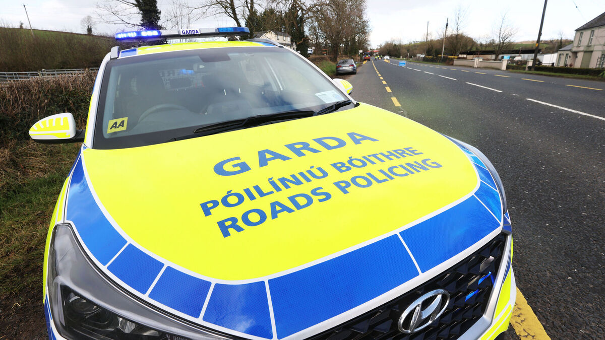 Gardaí investigating fatal Limerick crash believe men had come from Sweden to carry out hit