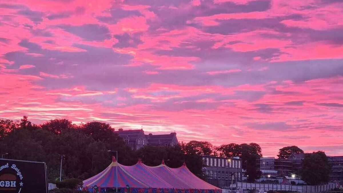 Festivals seek liquidation of Tickets.ie after collapse leaves more than €1.1m in debts