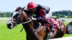 <p>Folsom Blues and Dylan Browne McMonagle won the Irish Stallion Farms EBF Maiden at Gowran Park for Joseph O'Brien. Pic: HEALY RACING</p> <p>Folsom Blues and Dylan Browne McMonagle won the Irish Stallion Farms EBF Maiden at Gowran Park for Joseph O'Brien. Pic: HEALY RACING</p>