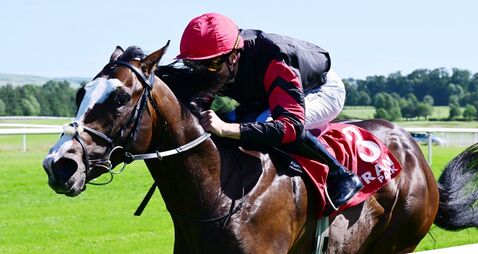 Folson Blues impresses at Gowran Park to spark O'Brien across-the-card treble