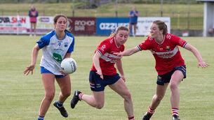 <p>RED SCARE: Waterford's Aine O'Neill about to handpass the ball ahead of Cork players Melissa Duggan and Kate Redmond. Picture: Howard Crowdy</p> <p>RED SCARE: Waterford's Aine O'Neill about to handpass the ball ahead of Cork players Melissa Duggan and Kate Redmond. Picture: Howard Crowdy</p>