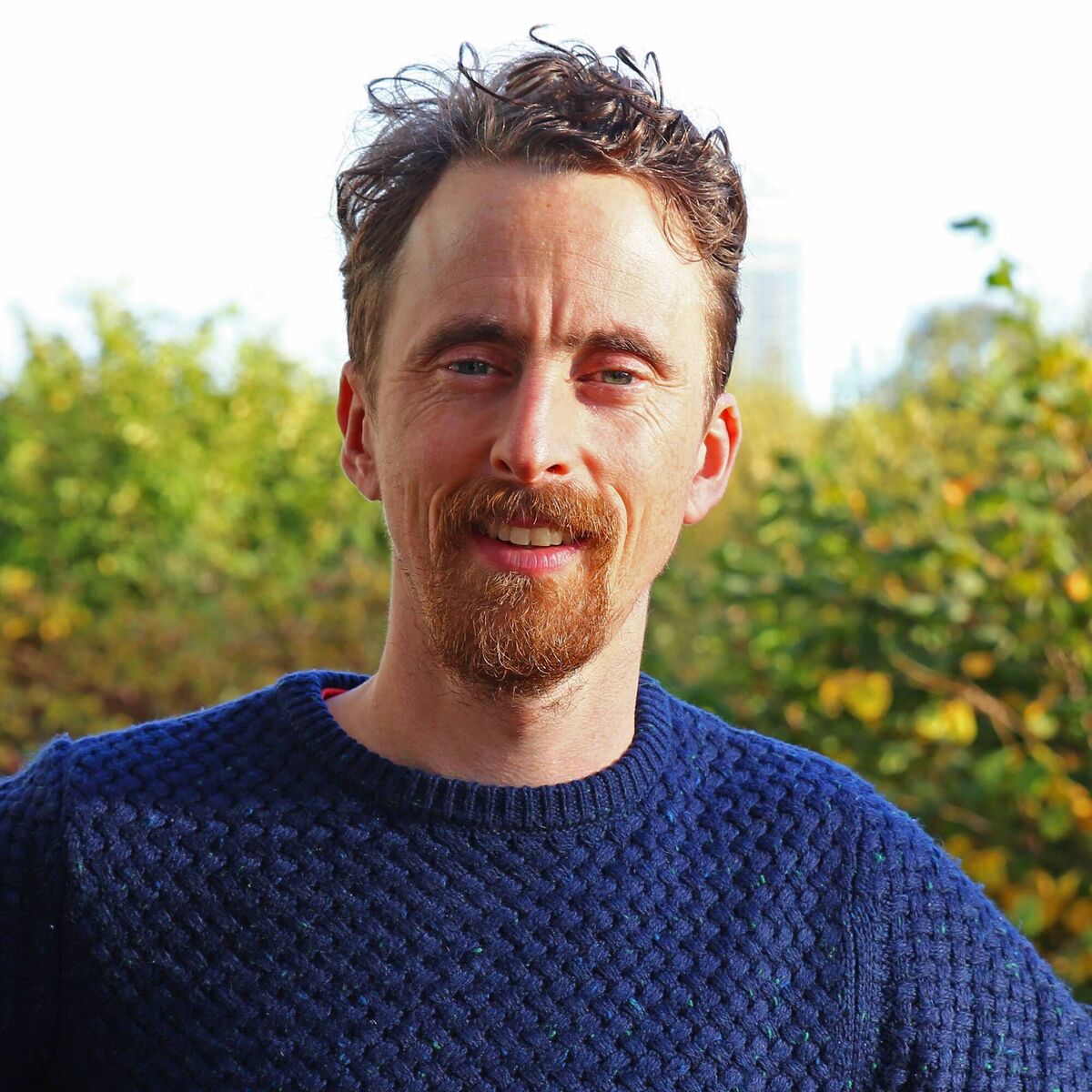 Paul Deane: 'Pylons are ugly... but they are necessary. Putting it underground is incredibly expensive.'