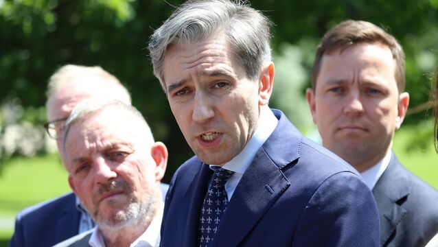 <p>Tánaiste and finance minister Simon Harris said on Sunday that the move was being taken out of both frustration and anger that councils had allowed dereliction to go untaxed. Picture: Collins</p>