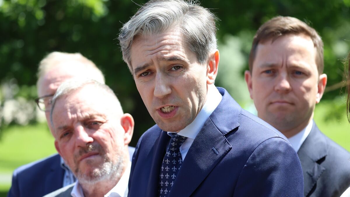 'Frustrated' Simon Harris announces new derelict sites tax to be administered by Revenue