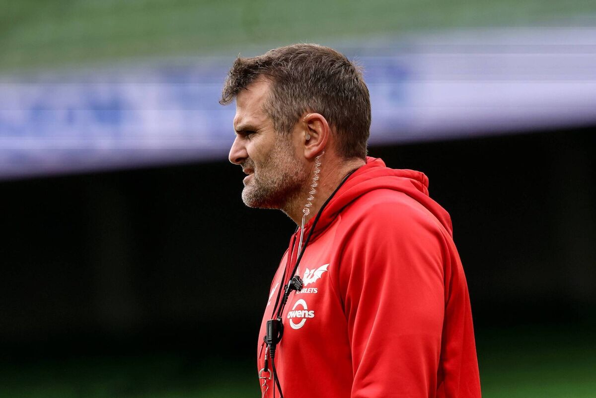 New Munster coach Jared Payne. Pic: Billy Stickland/Inpho New Munster coach Jared Payne. Pic: Billy Stickland/Inpho