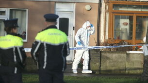 <p>The scene at the twins' home in Castle Park, Tallaght, Dublin, on the day of the stabbing in December 2023. File picture: Stephen Collins</p> <p>The scene at the twins' home in Castle Park, Tallaght, Dublin, on the day of the stabbing in December 2023. File picture: Stephen Collins</p>