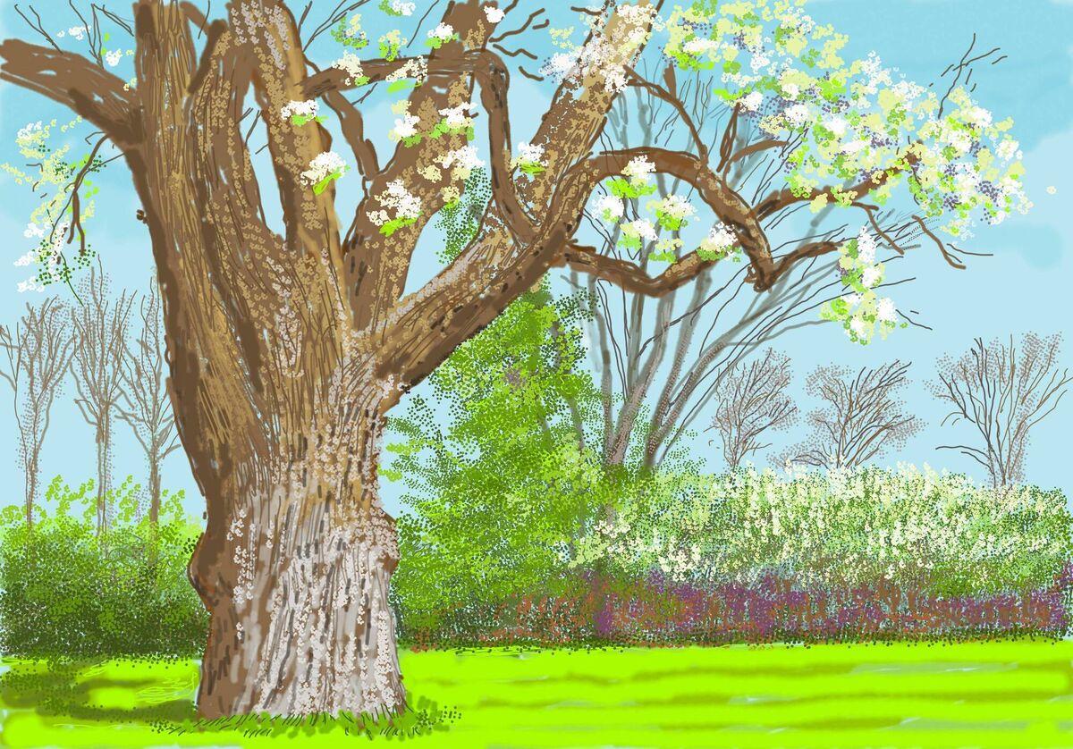David Hockney, 27th March 2020.