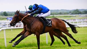 <p>Ol Man Dingle & Shane O'Callaghan win the Galway Plate Trial Handicap Steeplechase at Kilbeggan. Pic: HEALY RACING</p> <p>Ol Man Dingle & Shane O'Callaghan win the Galway Plate Trial Handicap Steeplechase at Kilbeggan. Pic: HEALY RACING</p>