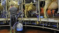 Milking parlor