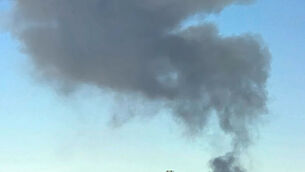 Smoke plumes after the crash (Debbie Reyes Katz via AP)