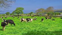 ireland-g2a978de0f_1920.jpg Dullard family never lost hope Jo Jo remains will be found, priest says