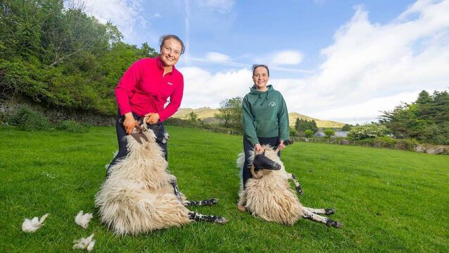 <p>Sisters Alice Drohan (age 17) and Ellen Drohan (age 19) at their farm, Cooney’s Yard. Alice and Ellen will host traditional sheep-shearing demonstrations at the upcoming Comeraghs Wild Festival. Photo Patrick Browne </p>