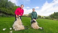 COMERAGHS WILD.JPG Holding near Bandon of 33 acres guiding €19.7k/acre