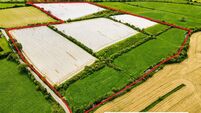 147-acre farm hits market in West Waterford