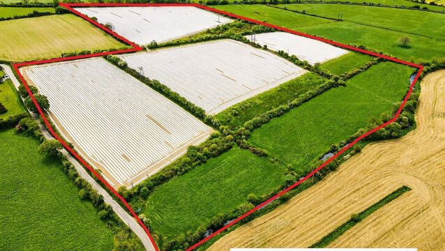 <p>The holding is at Mishells, approximately 4km from Bandon and almost entirely in tillage.</p>