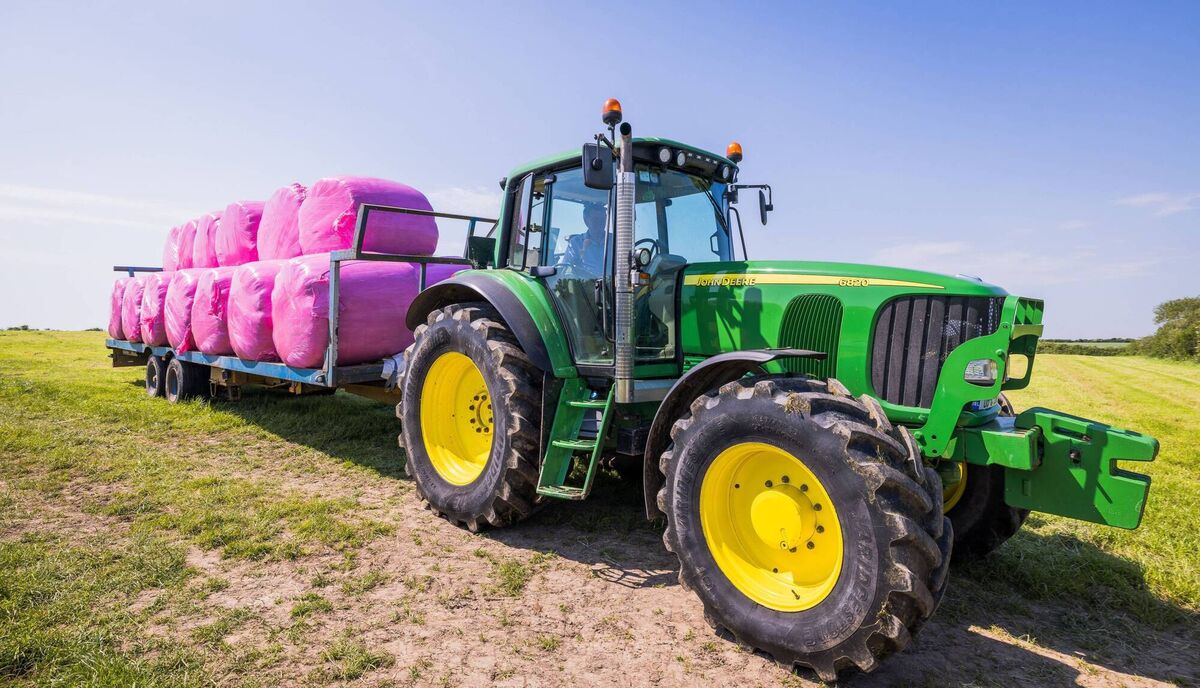 Bill and Liam Foley from Windgap, Youghal, East Cork, wrapped in pink to launch this year's campaign. Photo: Peter Pietrzak Bill and Liam Foley from Windgap, Youghal, East Cork, wrapped in pink to launch this year's campaign. Photo: Peter Pietrzak