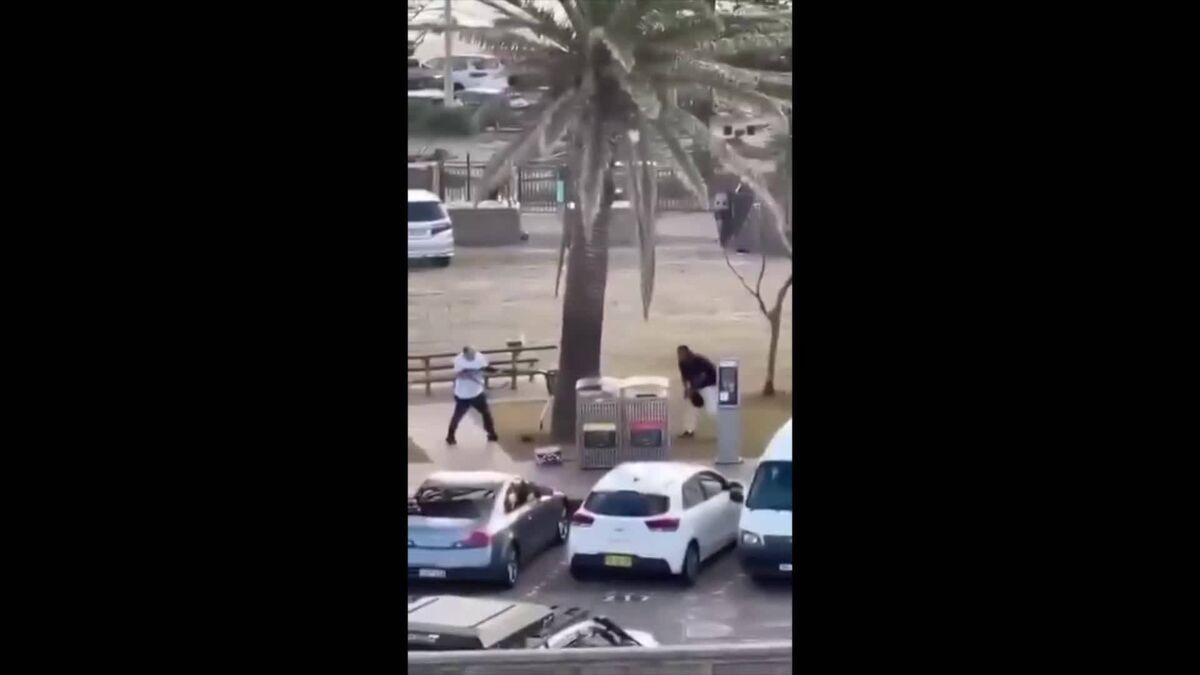 A bystander (in the white tshirt) wrested a gun from an alleged gun man (in a black top) during the Bondi Beach shooting. 