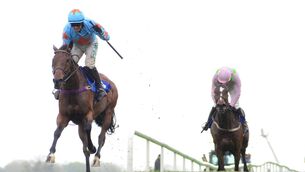 <p>RIP: Un De Sceaux has died at the age of 18. Pic: Photo Healy Racing.</p> <p>RIP: Un De Sceaux has died at the age of 18. Pic: Photo Healy Racing.</p>