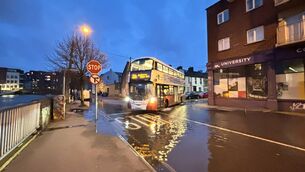 <p>Funding worth €5m has been pledged for urban nature-based solution projects to lessen flooding and increase biodiversity. Picture: Jim Coughlan</p>