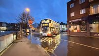 Funding worth €5m for urban nature-based solutions announced