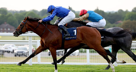 Ombudsman should be tough nut to crack at Royal Ascot
