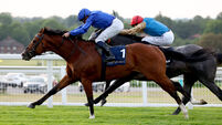 Ombudsman should be tough nut to crack at Royal Ascot