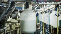 Freshly processed milk