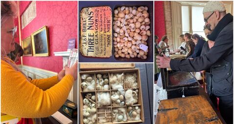 Artists lift the lid on Cork treasure trove at Fota House