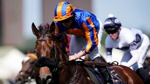 <p>Mission Central ridden by Ryan Moore on their way to winning the King Charles III Stakes at Royal Ascot. It was trainer Aidan O'Brien's 98th career winner at the meeting. Pic: John Walton/PA Wire.</p> <p>Mission Central ridden by Ryan Moore on their way to winning the King Charles III Stakes at Royal Ascot. It was trainer Aidan O'Brien's 98th career winner at the meeting. Pic: John Walton/PA Wire.</p>