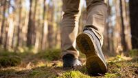 Person walking in the woods. Speed-hiking shoes closeup.