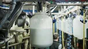 <p>The main land-based agricultural systems in Ireland can currently meet the annual protein requirements of 20 million people, or 35 million if protein digestibility (how much of the amino acids present in the protein are left for the body to use after digestion) is accounted for. File picture</p>