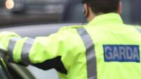 Gardaí investigate suspected arson attack on Limerick city home