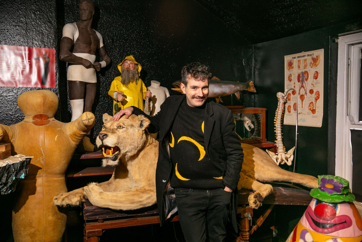 Paul Mangan with a Lion taxidermy at the Museum of Curiosities on Pembroke Street, Dublin. Paul Mangan with a Lion taxidermy at the Museum of Curiosities on Pembroke Street, Dublin.