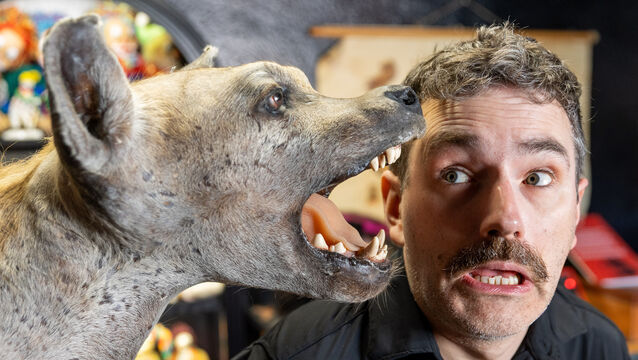 <p>Paul Mangan with a Hyena Taxidermi at the Museum of Curiosities on Pembroke Street, Dublin. Pictures: Gareth Chaney</p>