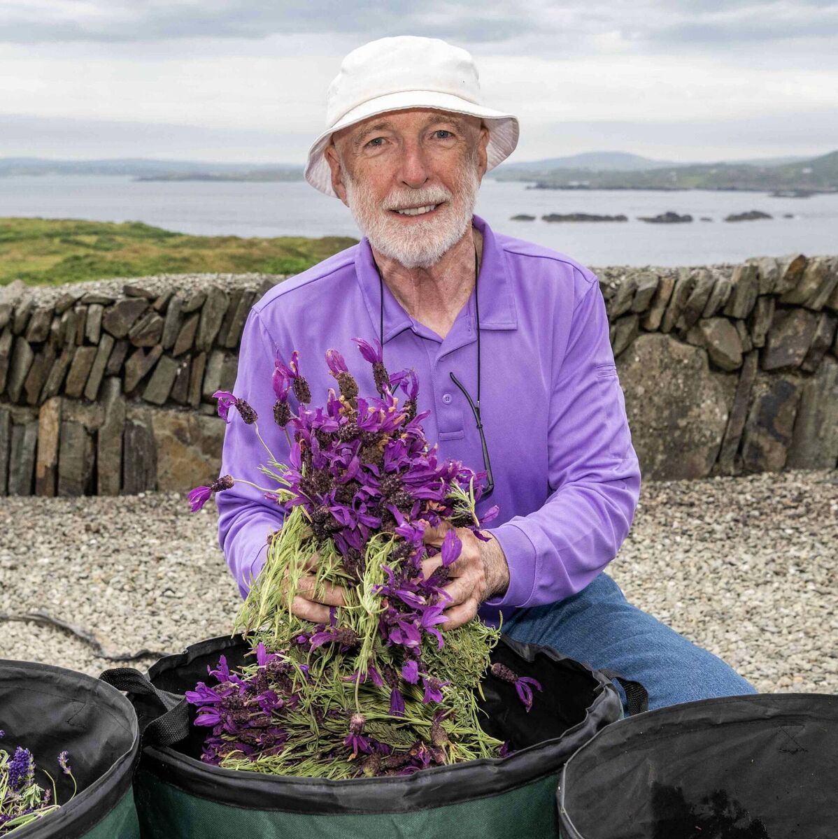 Islander Joe Driscoll, the driving force behind the Cape Clear Lavender festival, pictured with lavender he harvested. Picture: Andy Gibson. Islander Joe Driscoll, the driving force behind the Cape Clear Lavender festival, pictured with lavender he harvested. Picture: Andy Gibson.