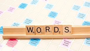<p>Colm O'Regan: 'We’ll just have to put up with it. It’s far from perfect/parrfect/purrfect, but that’s how language goes.' Picture: iStock</p>
