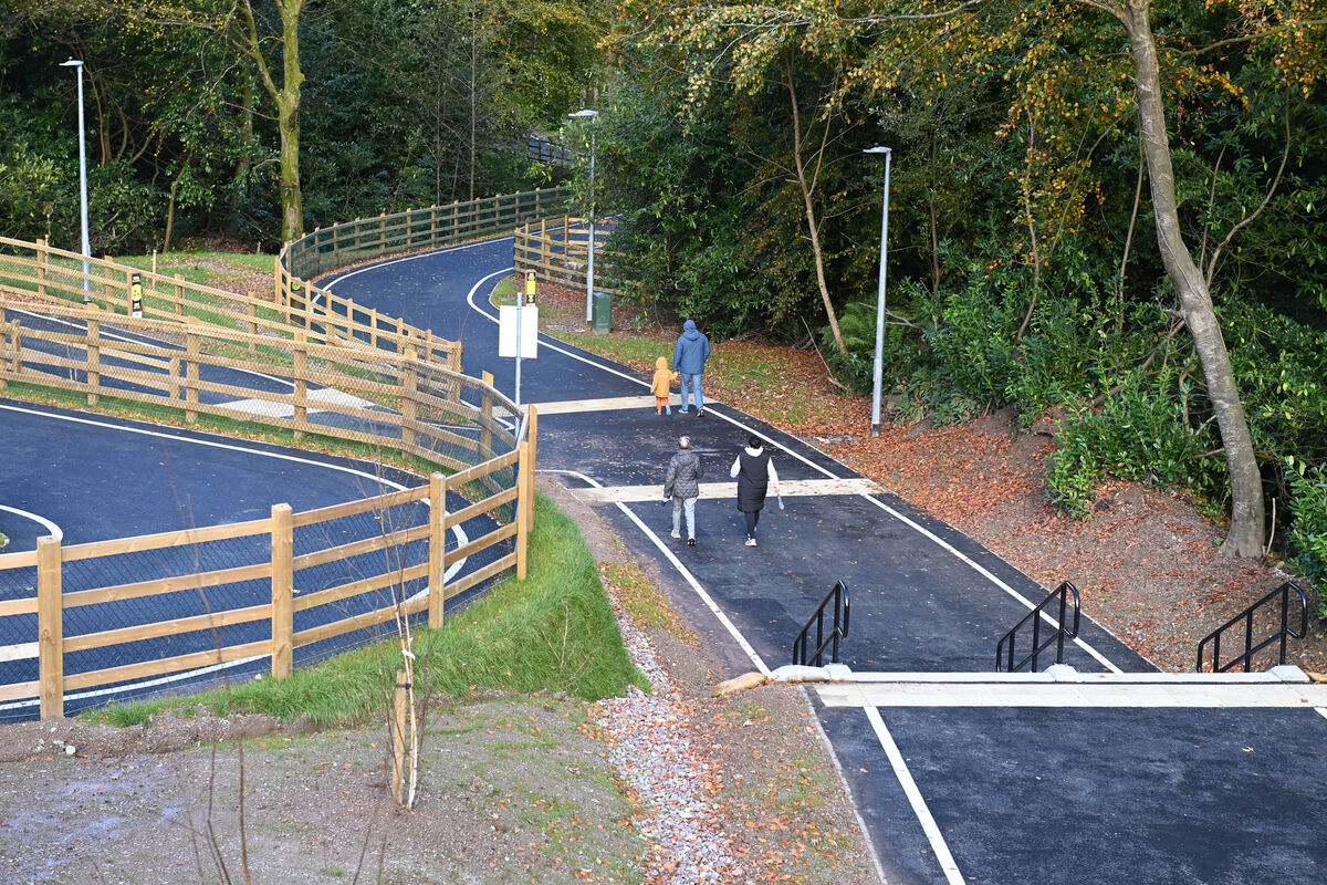 Mount Vernon Bridge connection to Tramore Valley Park Mount Vernon Bridge connection to Tramore Valley Park