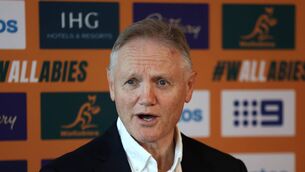 <p>Wallabies head coach Joe Schmidt  (Photo by Matt King/Getty Images)</p>