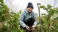 Tillage farmers worry about future after heavy rain and a ‘pear-shaped’ 2023